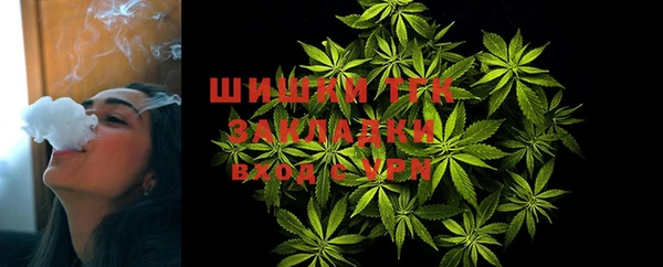 дурь Горно-Алтайск